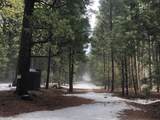  5.19 Ac Side Bottom Road - Photo 3