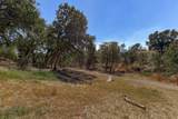 7832 Terra Linda Way - Photo 33