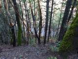 000 Kimlarry Ln - Photo 17