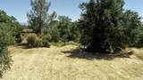 1191 Hillcrest Pl - Photo 4