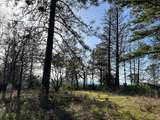  Black Butte Rd. - Photo 4