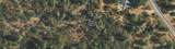  Black Butte Rd. - Photo 9