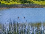 26602 Snider Ranch Road - Photo 48