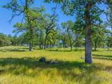 26602 Snider Ranch Road - Photo 53