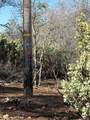  Patterson Ranch Road - Photo 10