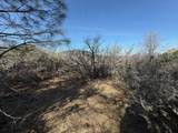 Patterson Ranch Road - Photo 11