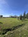 6734 Meadowlark Lane - Photo 4