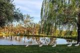 22738 River View Drive - Photo 13