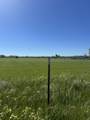 00 Mcclure Avenue - Photo 3