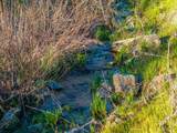 10080 Tilton Mine Road - Photo 9
