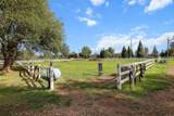 6640 Dixieland Drive - Photo 31