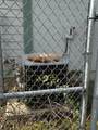 3955 Platina School Road - Photo 25