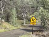 3955 Platina School Road - Photo 28