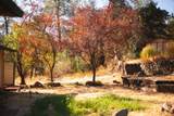 12780 Williamson Road - Photo 66