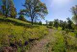  Elk Trail - Photo 10