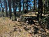 655 Ponderosa Drive - Photo 7