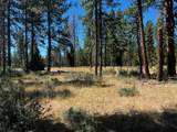 655 Ponderosa Drive - Photo 8