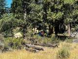 655 Ponderosa Drive - Photo 9