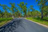 15920 El Camino Robles Road - Photo 4