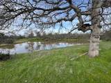 120 ACRES Golden Oak/Lawndale - Photo 1
