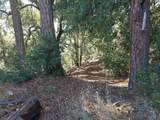 6200 Wilson Hill Road - Photo 51