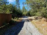 6200 Wilson Hill Road - Photo 52