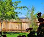 4608 Dandelion Drive - Photo 19