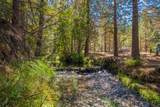 12792 Clearbrook Drive - Photo 3