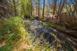 12792 Clearbrook Drive - Photo 30