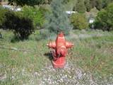 22076 Loop Drive - Photo 16