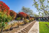 1642 Strauss Lane - Photo 31