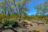 13416 Luna Drive - Photo 43