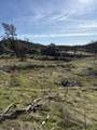 206 Fiddlers Road - Photo 10