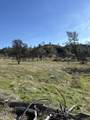 206 Fiddlers Road - Photo 12