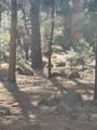 30562 Sleepy Hollow Drive - Photo 63