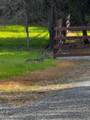 20621 Chipeta Way - Photo 3