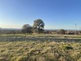 Lot 55 Arlington Park Place - Photo 4