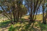 200 Dutch Creek Road - Photo 10