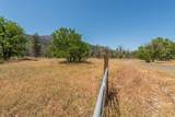 200 Dutch Creek Road - Photo 20