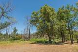 200 Dutch Creek Road - Photo 21