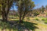 200 Dutch Creek Road - Photo 9