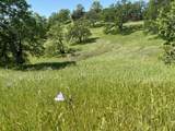 Lot 29 Deer Crest Trail - Photo 12