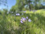 Lot 29 Deer Crest Trail - Photo 13
