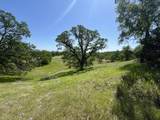 Lot 29 Deer Crest Trail - Photo 2