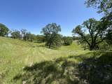 Lot 29 Deer Crest Trail - Photo 3