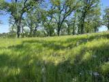 Lot 29 Deer Crest Trail - Photo 5