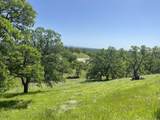 Lot 29 Deer Crest Trail - Photo 7