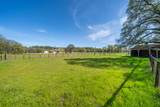 10257 Swede Creek Road - Photo 48