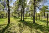 19195 Hollow Lane - Photo 20