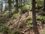 2120 Pack Trail - Photo 60